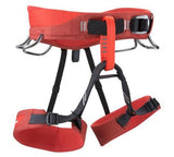 Black Diamond Momentum Harness